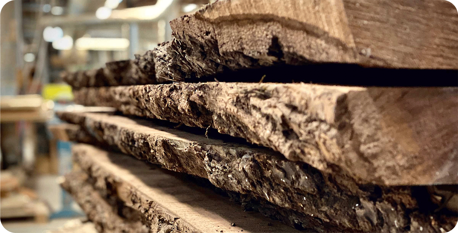 closeup of raw wood edge